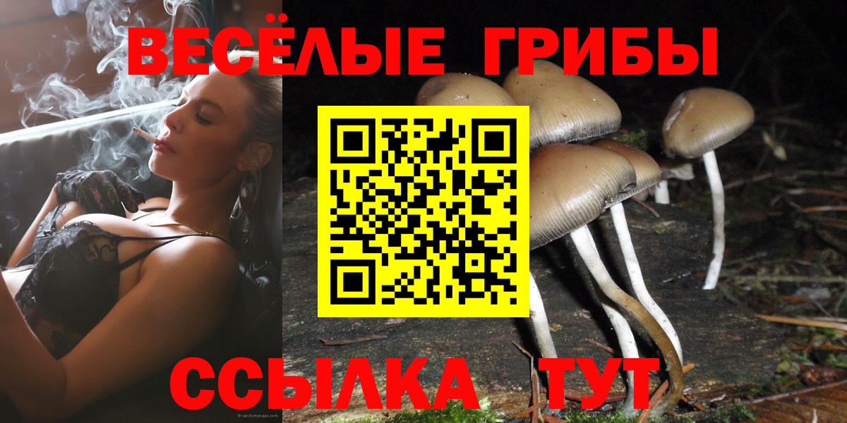 Галлюциногенные грибы Psilocybine cubensis  Вход с VPN  Новокуйбышевск 