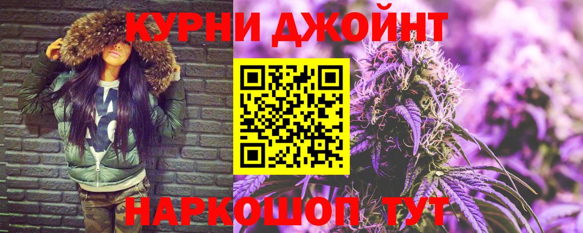 Конопля сатива Новокуйбышевск